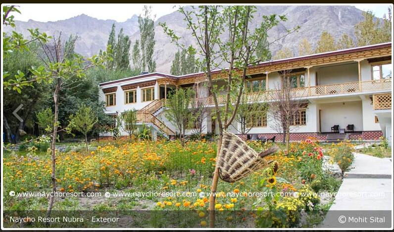 Naycho Resort, Nubra valley 3